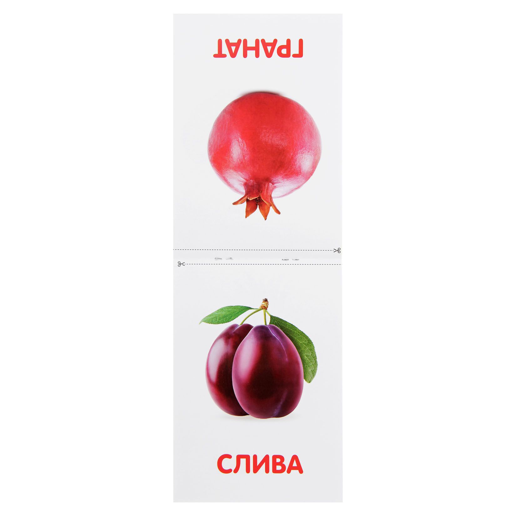 Карточки Домана Для Самых Маленьких Купить