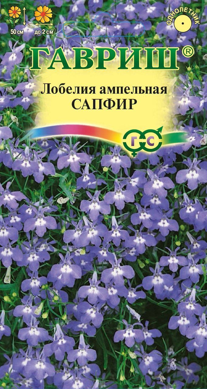 Лобелия Сапфир Цветы