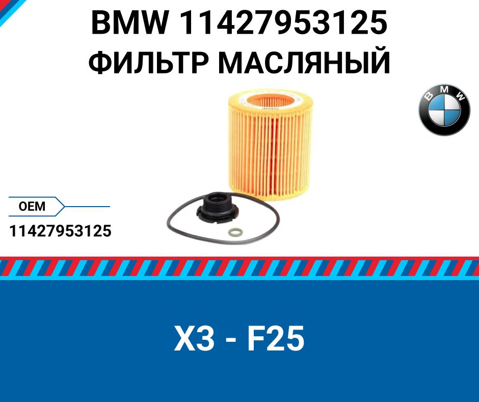 Фильтр масляный бмв х3. 11427953125 BMW фильтр масляный. 11427953125 BMW фильтр масляный оригинал. 11427953125. 11427953125 BMW.