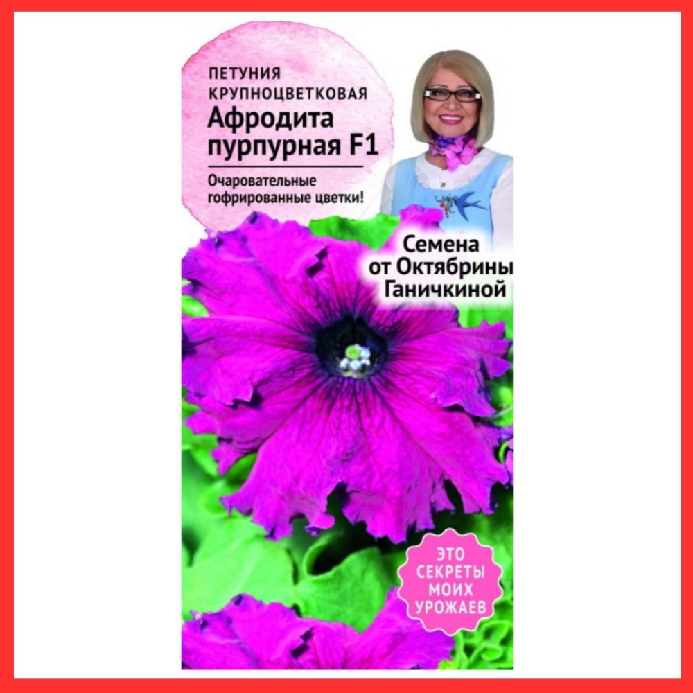 Афродита пурпурная. Петуния Афродита пурпурная. Петуния Афродита пурпурная в кашпо. Петуния Афродита пурпурная отзывы. Высота ящика для петунии.