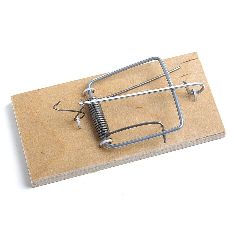 Как установить мышеловку видео. Мышеловка из бруска древесины. ), ар. Как установить мышеловку видео. Мышеловка.