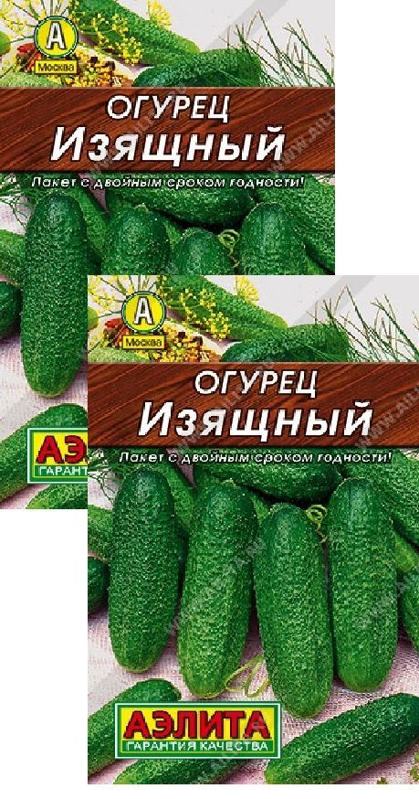 Семена Огурцов Изящный Купить