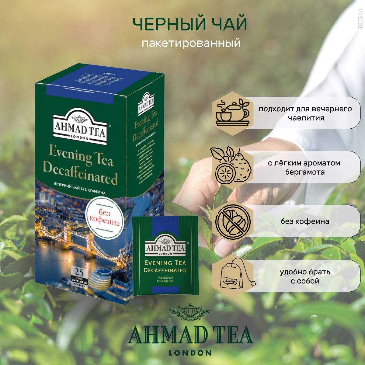 Ахмад без кофеина. Чай Ахмад Вечерний. Чай Каталина. Melissa Premium Detox Tea. Ахмад Вечерний фото чай.