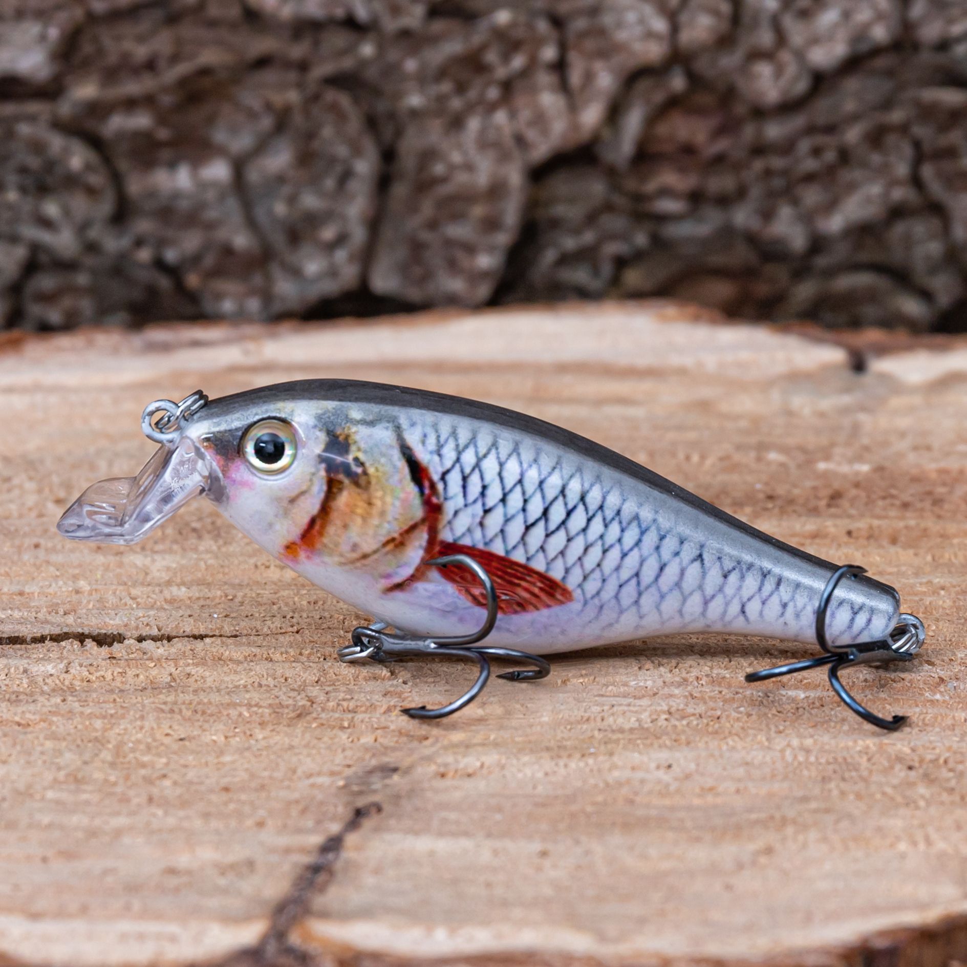 рыбы терты. реальная рыбалка энциклопедия. схема внешнего строения рыбы. True fish. симулятор.