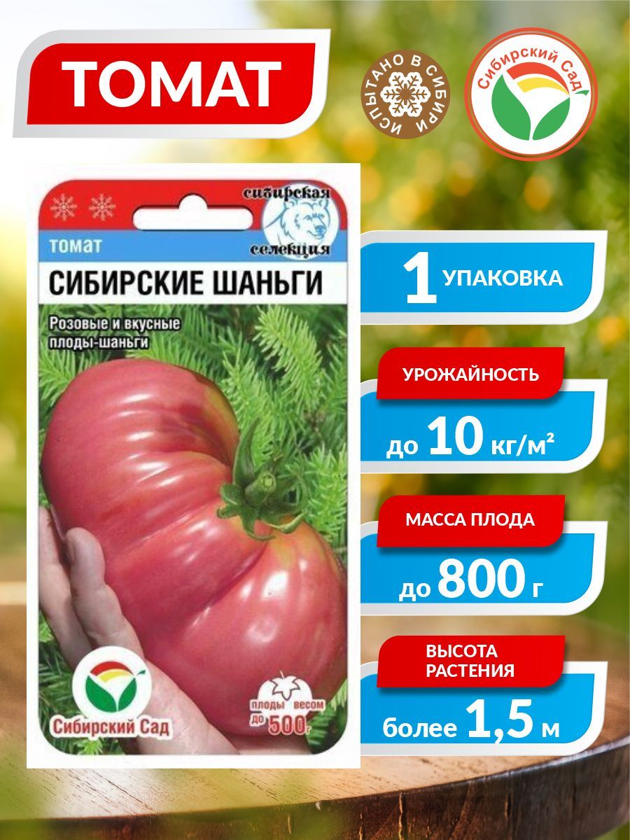 Сибирский шаньги томат описание. Томат сибирские шаньги. Томат сибирские шаньги характеристика и описание. Томат сибирские шаньги 20шт. Сибирские шаньги помидоры сибирский сад.