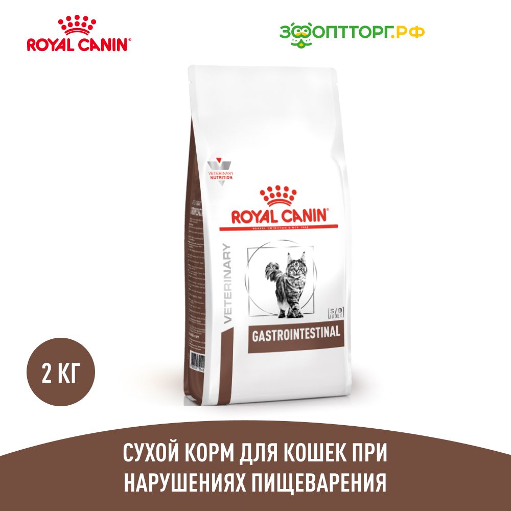 Intestinal gastro best sale royal canin