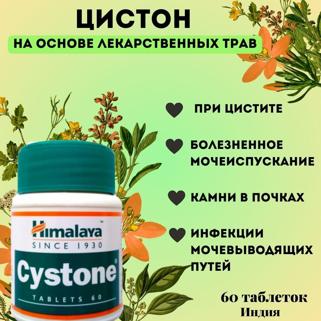 Цистон. Цистон при цистите. Цистон от почек. Цистон фото.