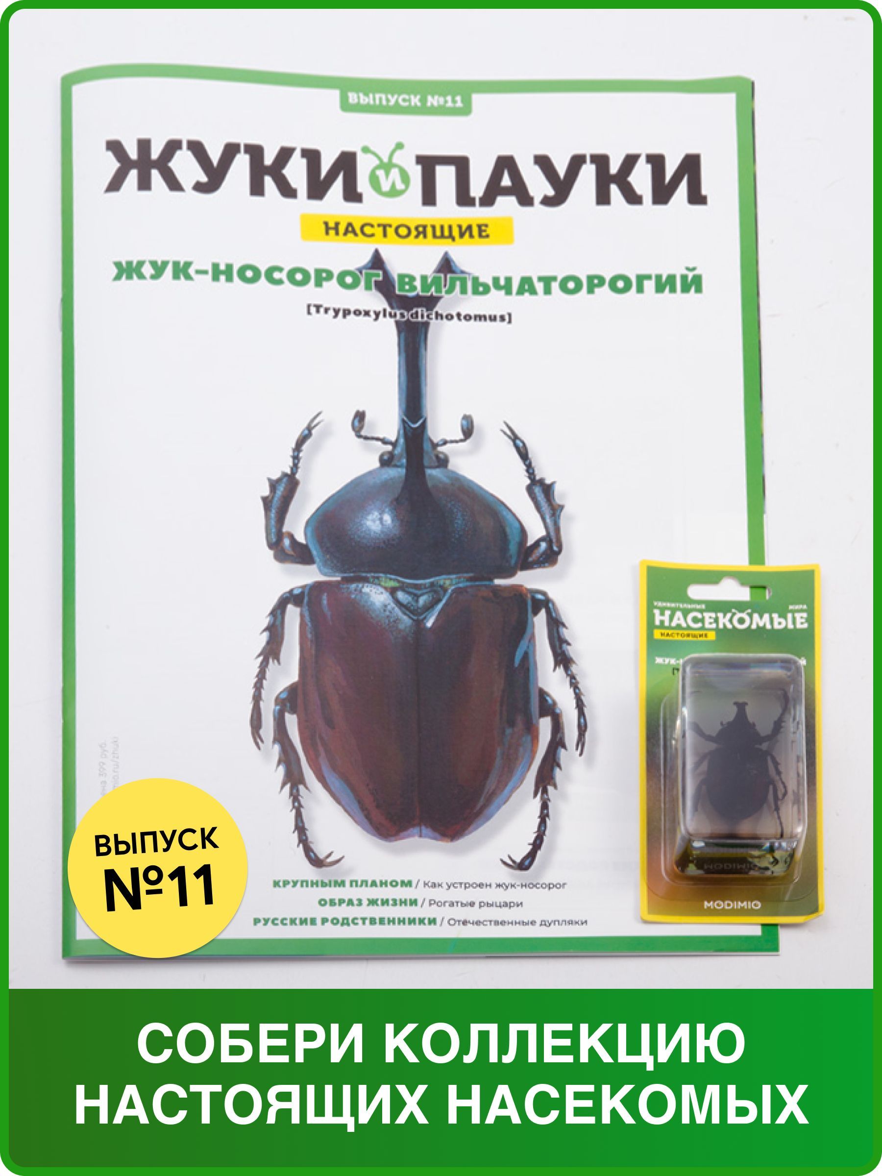 Жуки и пауки, Выпуск №11, Жук-носорог вильчаторогий - купить с доставкой по  выгодным ценам в интернет-магазине OZON (293921260)