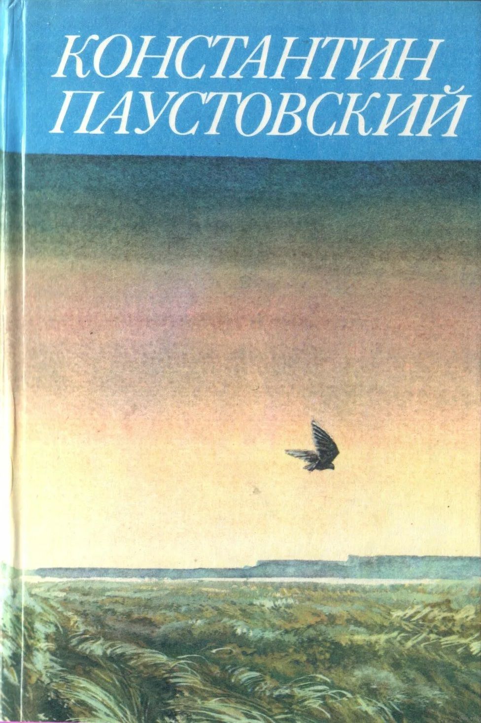 В ночной тишине паустовский. Очерк паустовского. Рассказ последний черт паустовский. Паустовский повести и рассказы. Отрывок из рассказа паустовского.