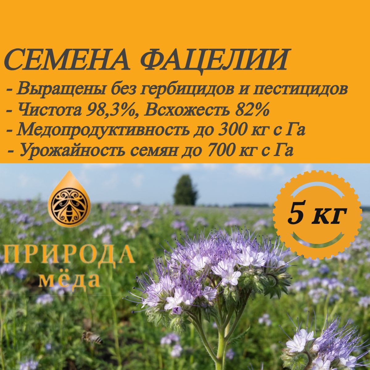 Семена фацелии, 5 кг