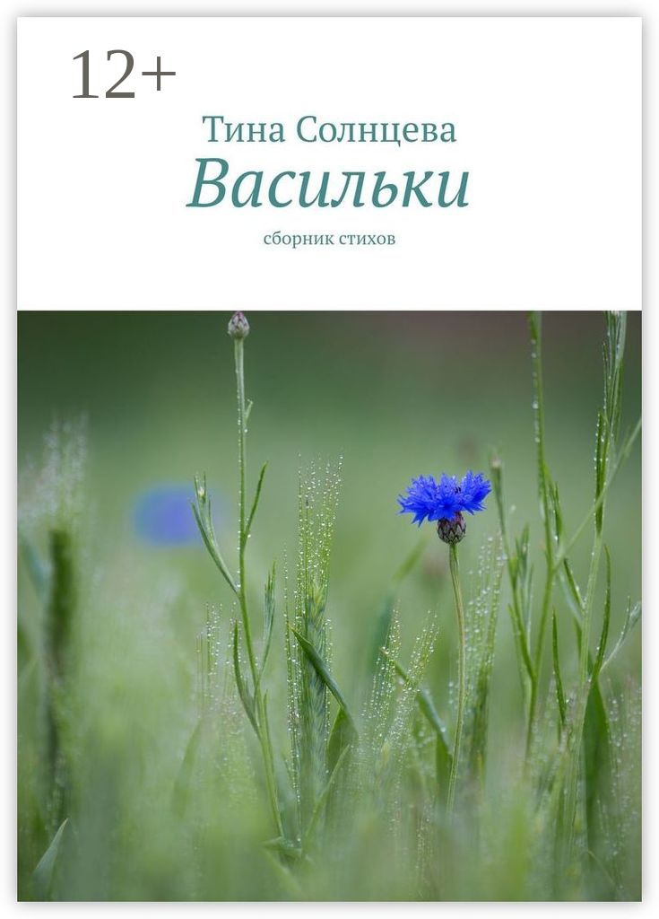 Стихи о васильках короткие. Васильков стихи. Васильков стихи. Стих про василек. Васильков стихи.