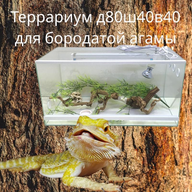 Террариумы для агамы