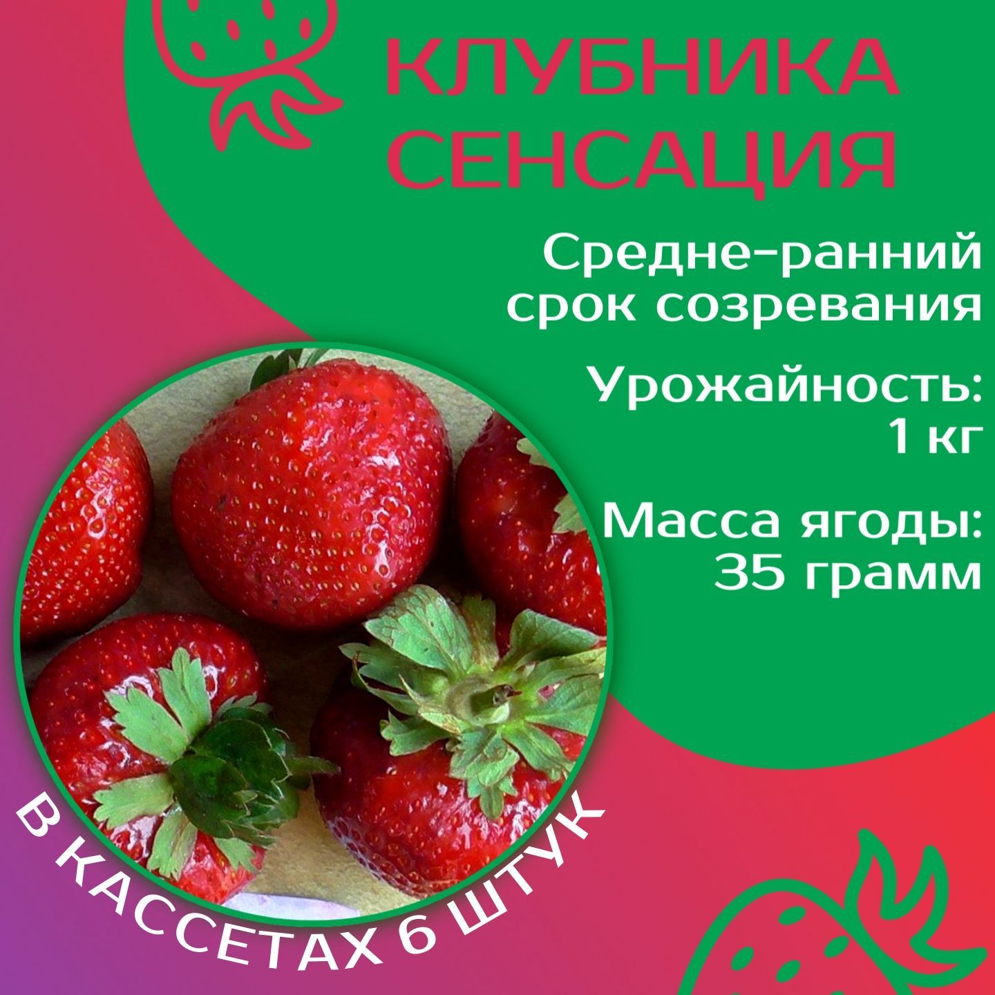 Клубничная сенсация