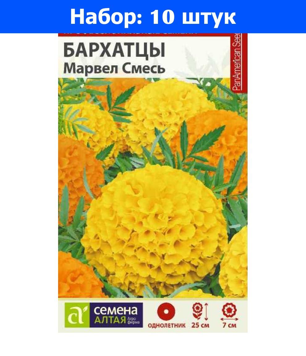 Бархатцы Синие Купить Семена