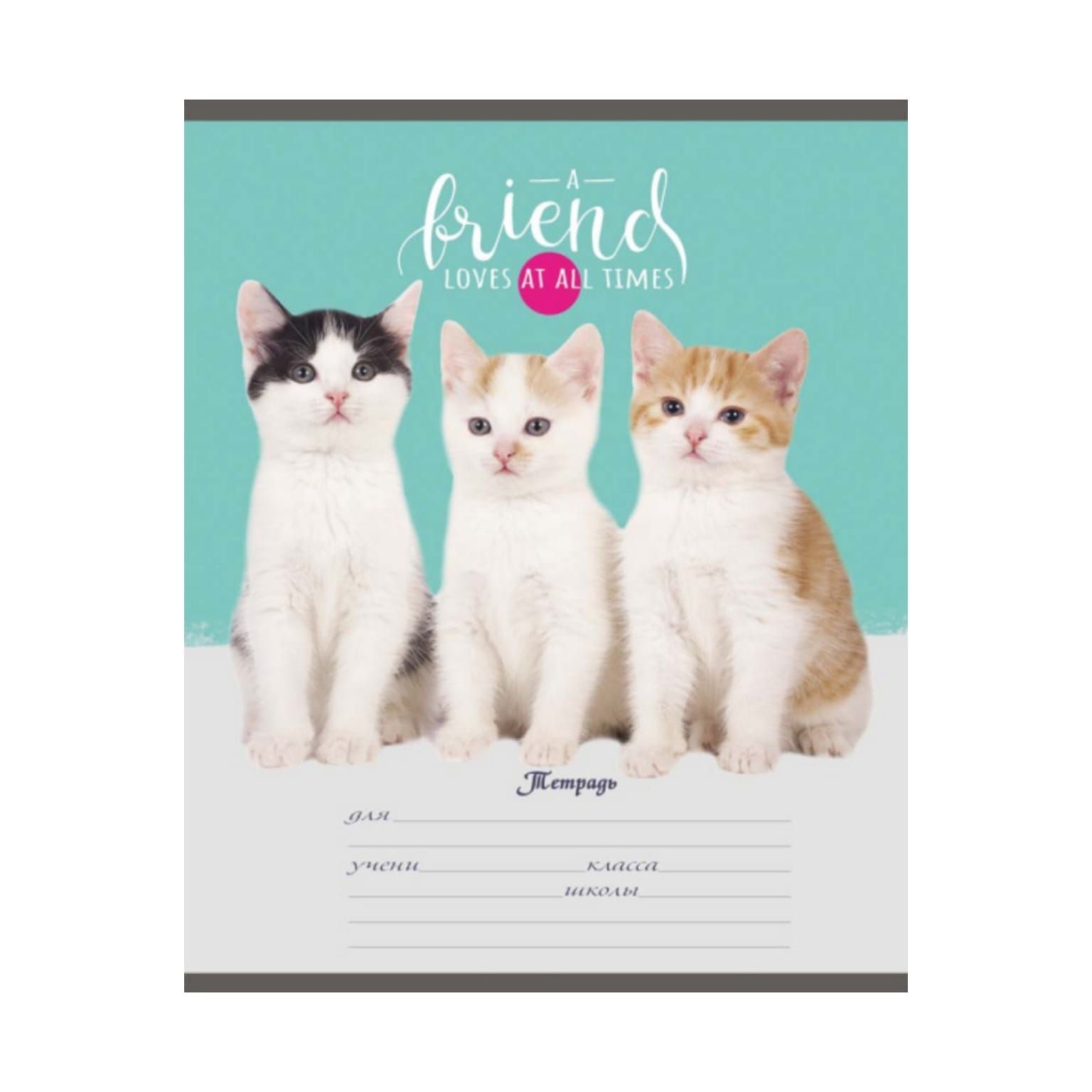 Тетрадь в линейку котенком. Обложка с кот]тами детская. Тетрадки с котиками. Тетради с кошечкой. Обложка с котиками.