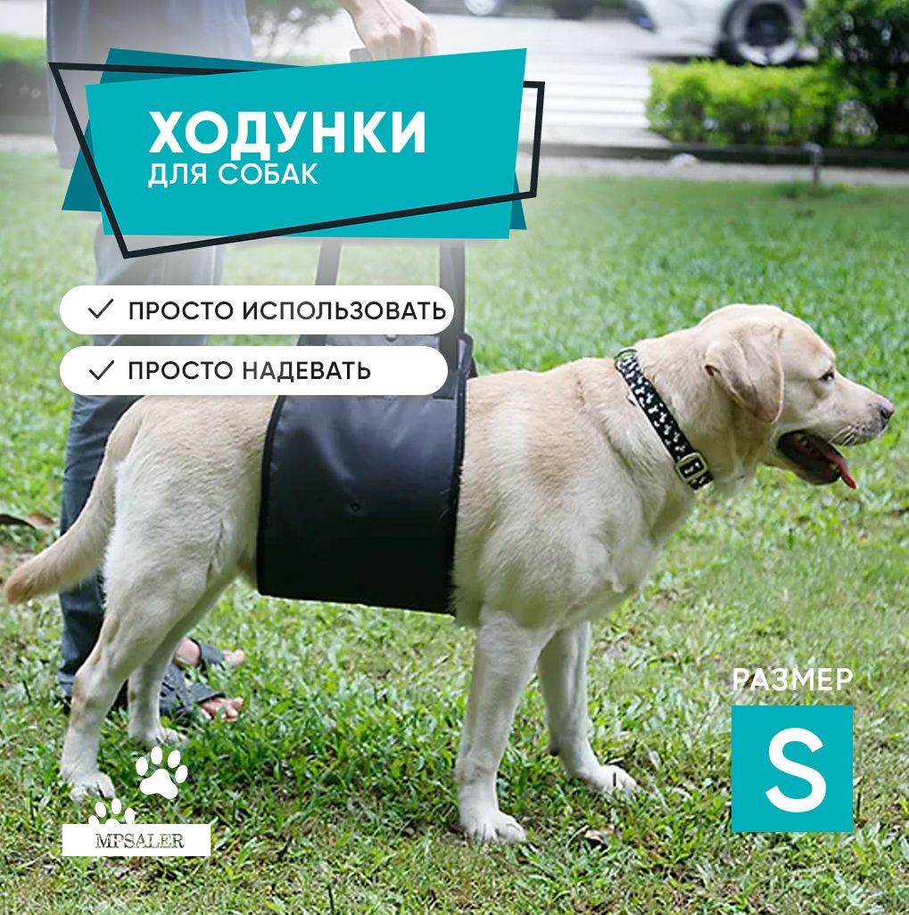 Пояс-шлейка (ходунки) для пожилых, травмированных собак PetSafe SOLVIT CareLift