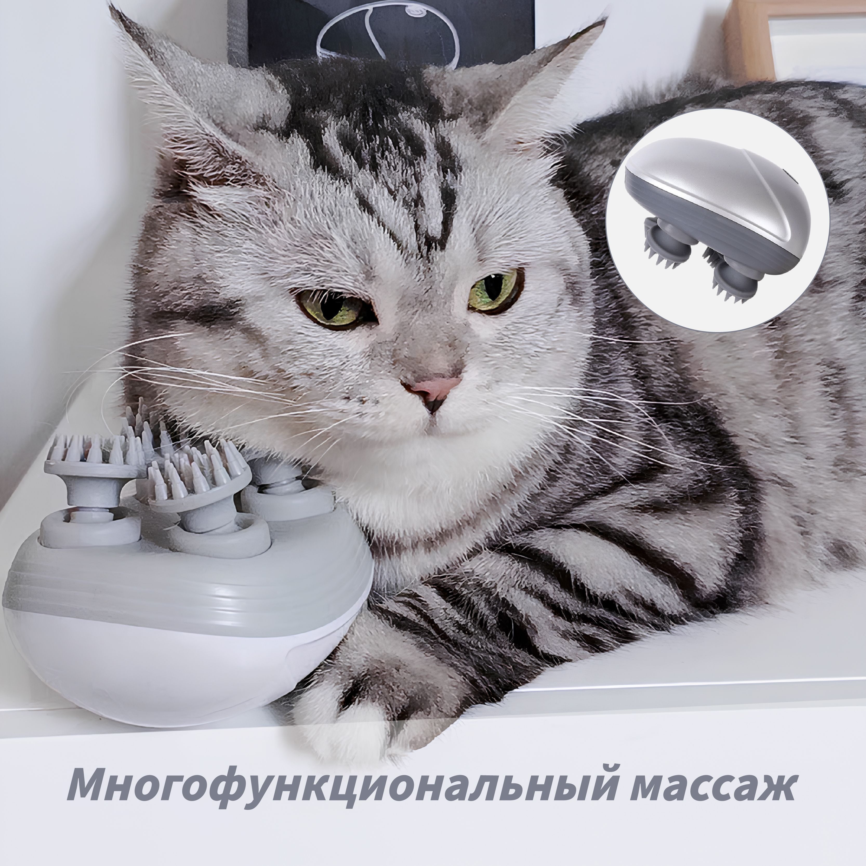 Кот электрик