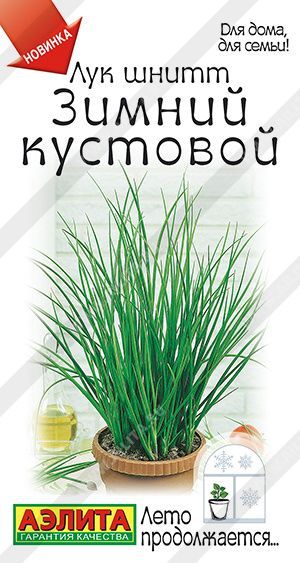 Семена Лук шнитт Зимний кустовой