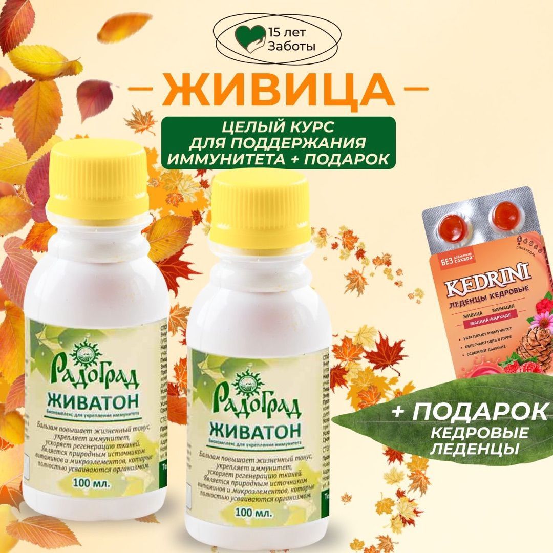 Живица На Облепиховом Масле Купить