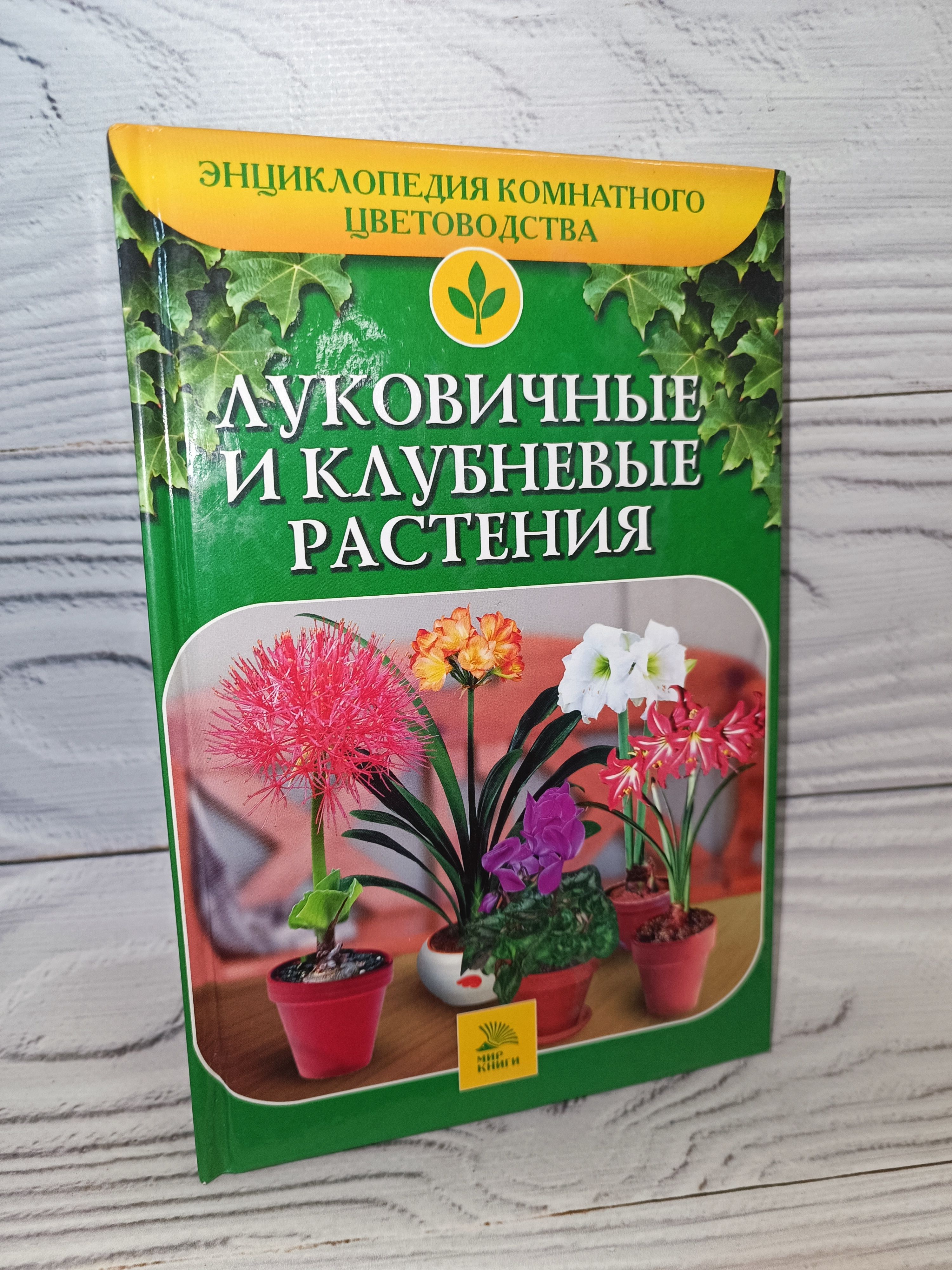 Луковичные и клубневые растения. Энциклопедия комнатного садоводства |  Беляевская Е. К. - купить с доставкой по выгодным ценам в интернет-магазине  OZON (1234950052)