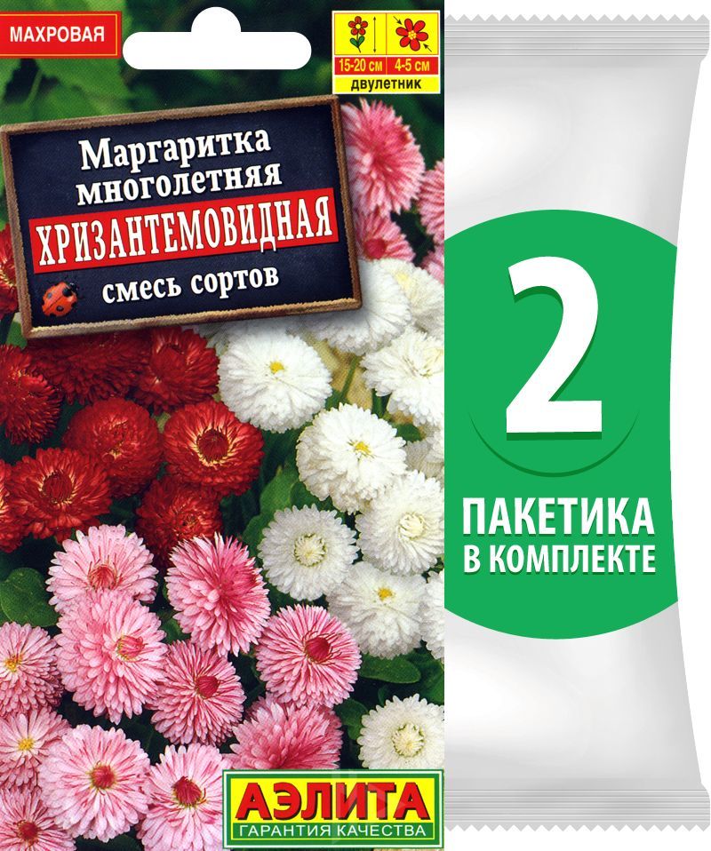 Маргаритки Семена Купить