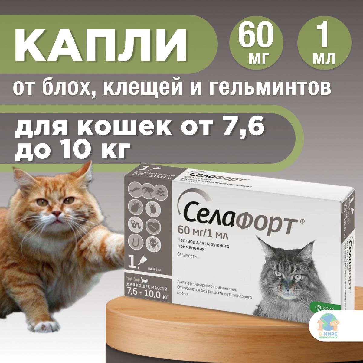 Селафорт для кошек до 2 5. Селафорт для кошек. Селафорт для кошек от каких паразитов. Селафорт от демодекоза. Селафорт аналоги.