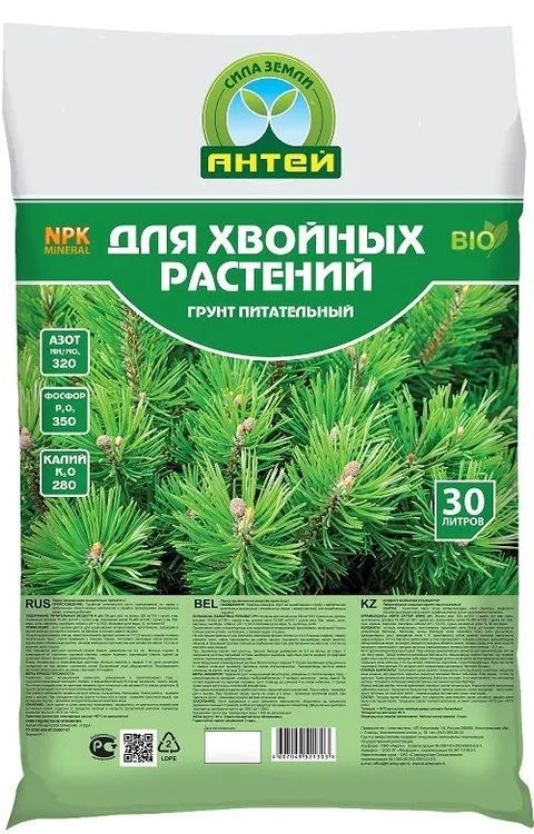 Земля для хвойных растений