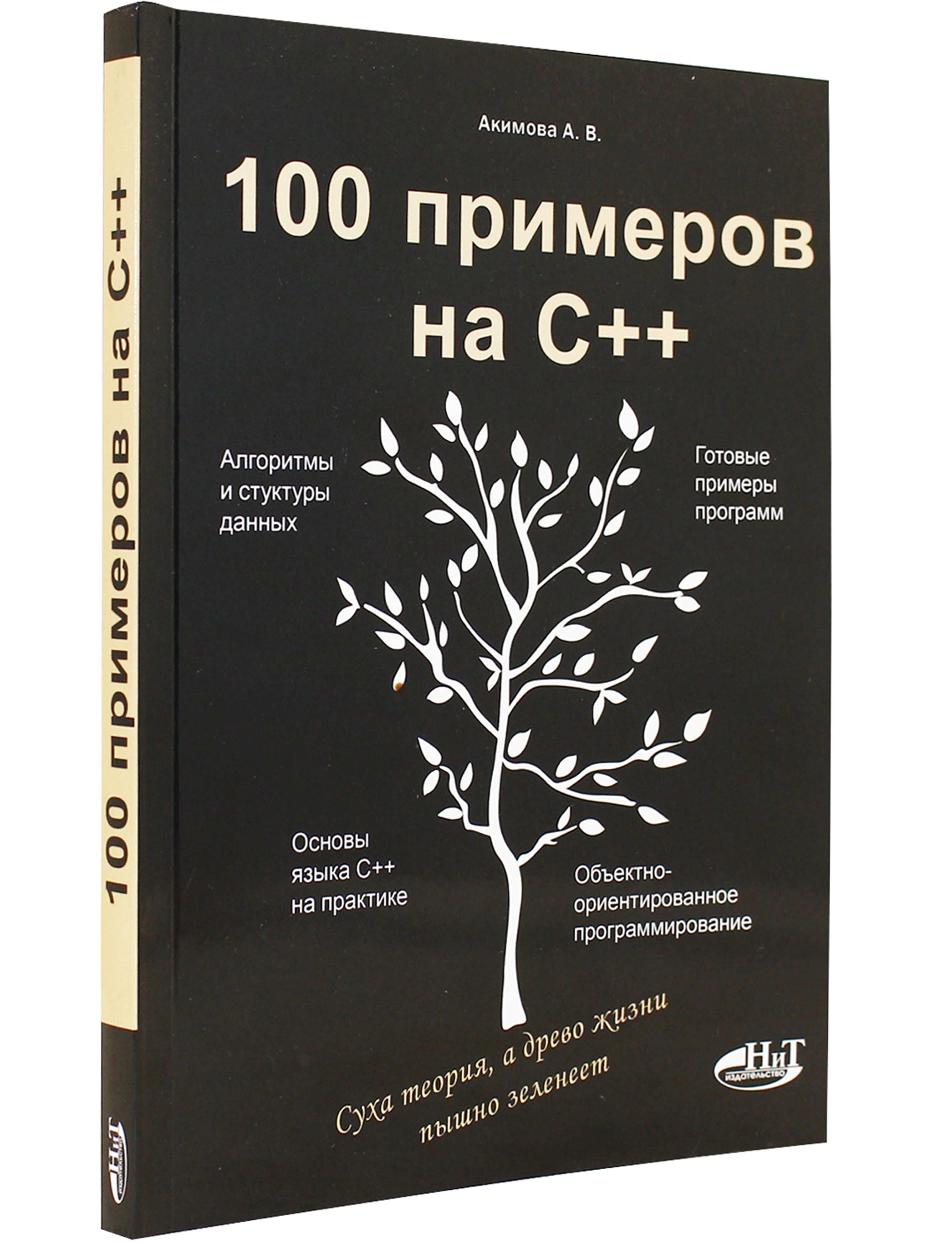 100примеровнаС++