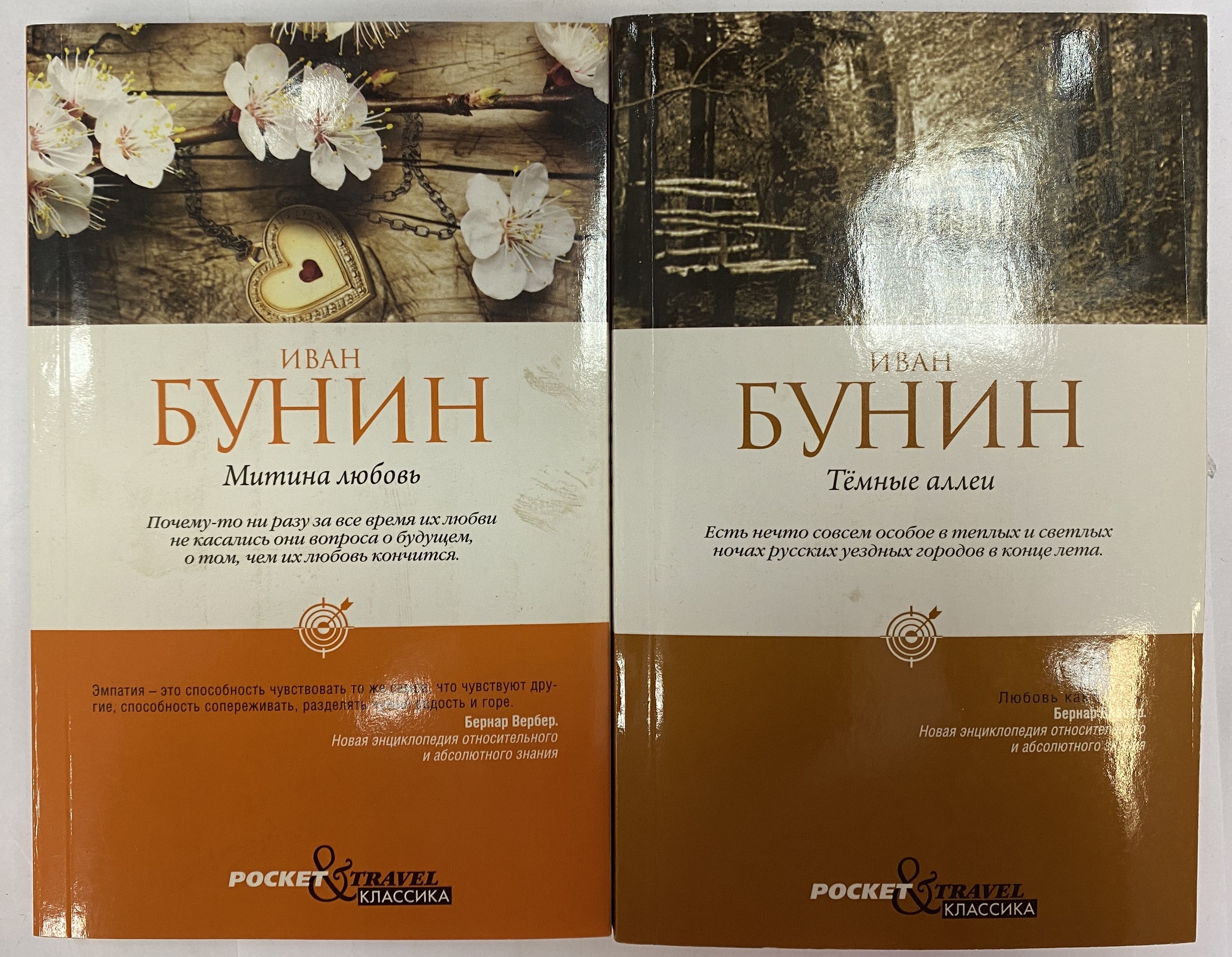 Бунин митина читать