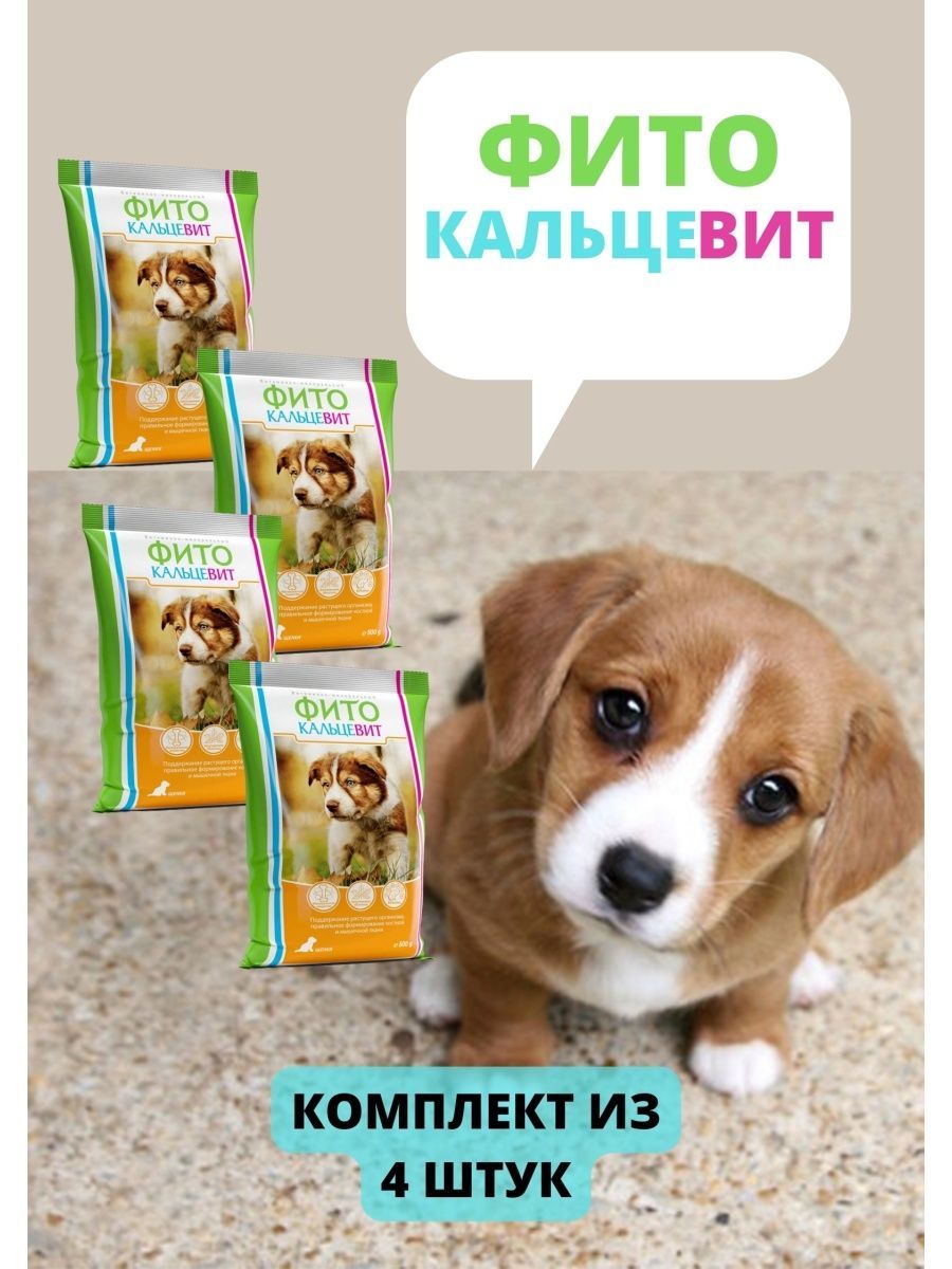 Фитокальцевит для щенков. Фитокальцевит д/щенков 500 г. Фитокальцевит для собак малых пород. Фитокальцевит для собак ассортимент.