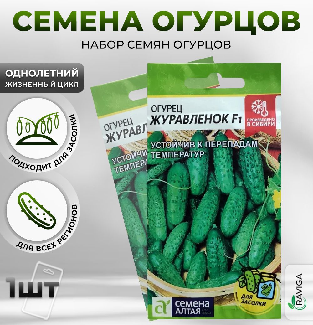 Купить Семена Огурца Кономор