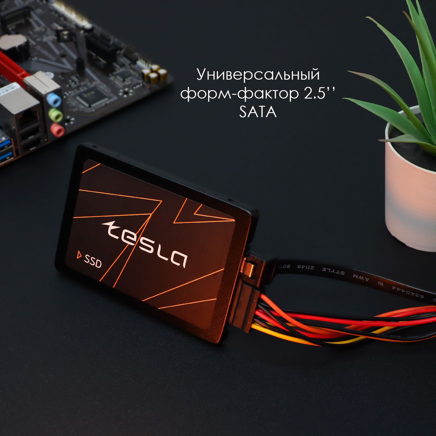 TESLA1ТБВнутреннийSSD-диск2.5"(SSDTSLA-1TBS3)