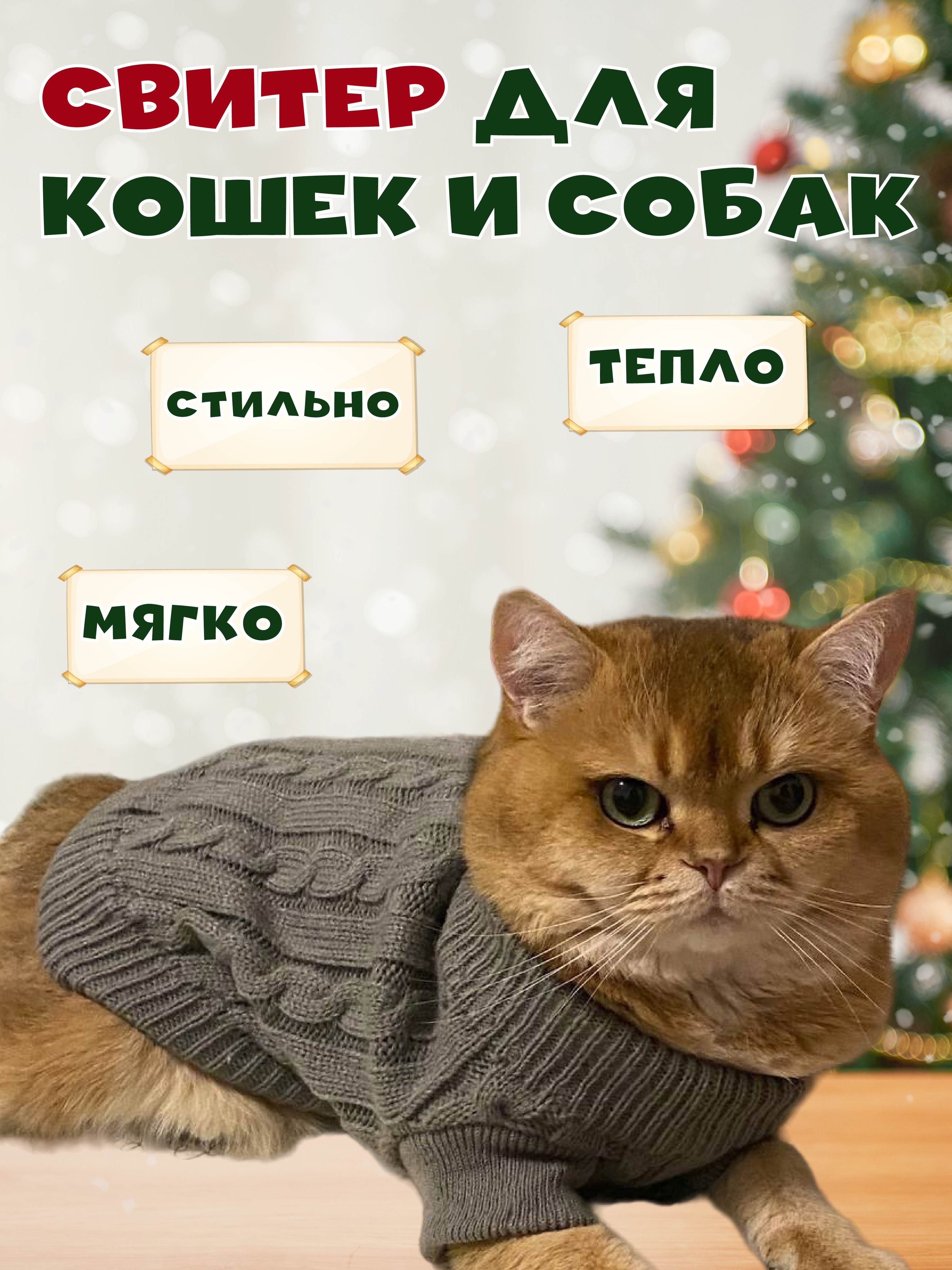 Новогодний костюм для собаки (выкройка)