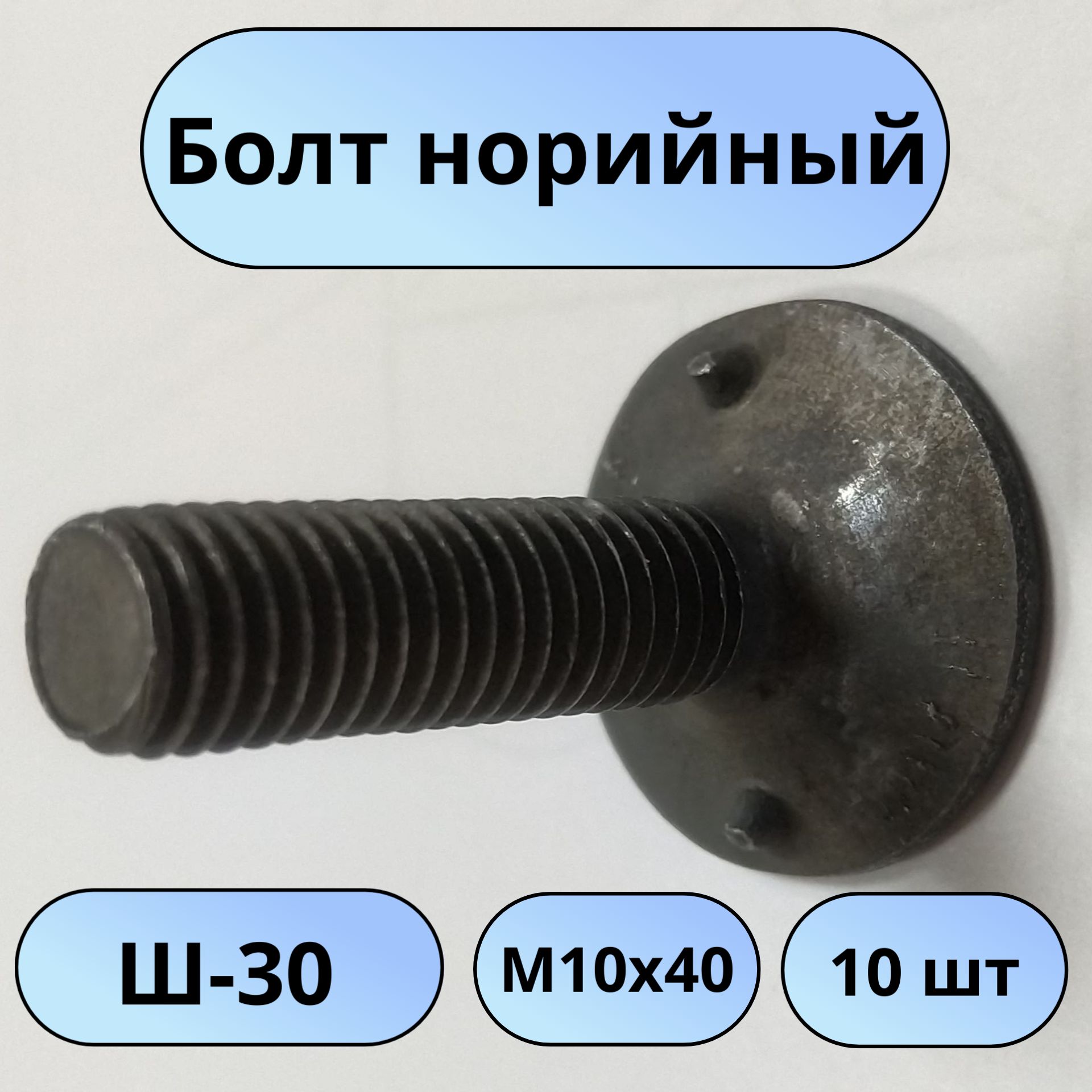 БолтнорийныйМ10х40,ш-30,оц-10шт