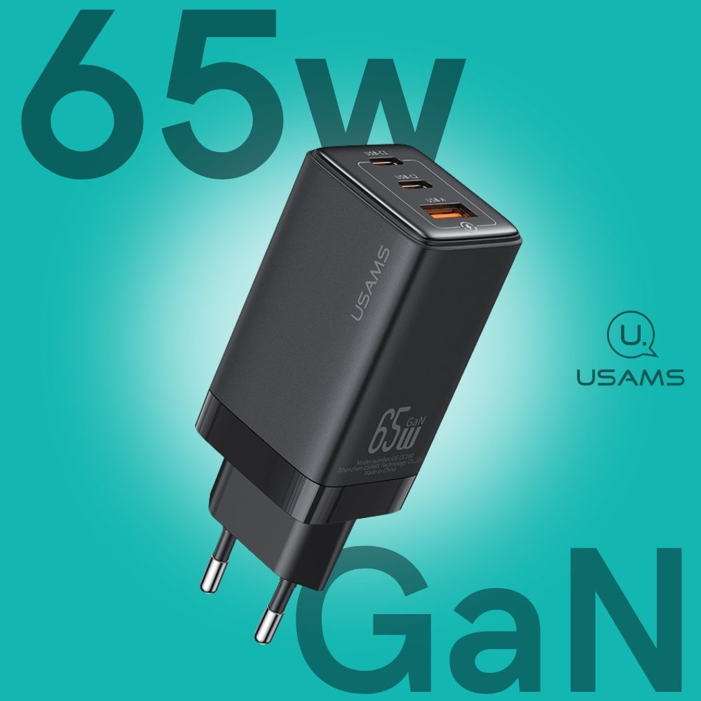 Gan65W