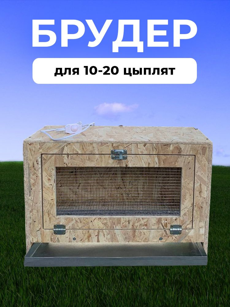Брудер для цыплят Норма - купить с доставкой по выгодным ценам в ...