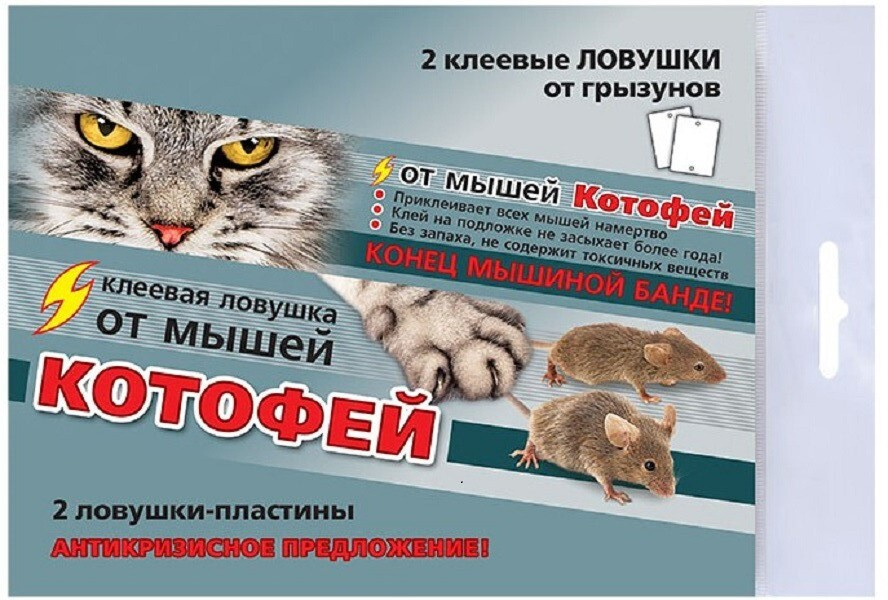 Клеевые ловушки - пластины для мышей / клеевые ловушки от мышей Котофей ...