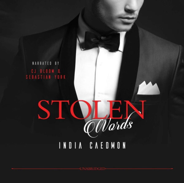Stolen book. Stolen book. Don't resist. Обложка для книги. Christopher lucy "stolen".