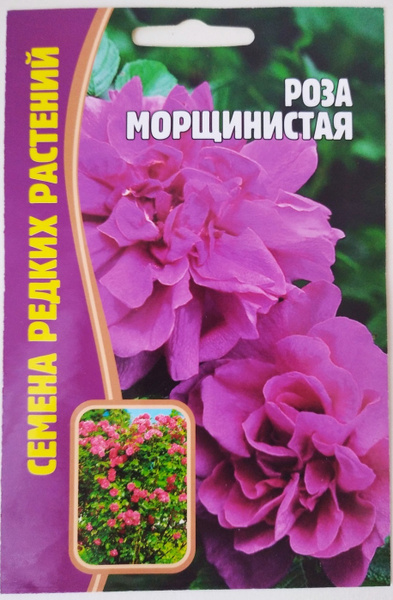 Дельфиниум Гигантская смесь + Летний танец - купить по выгодным ценам в ...