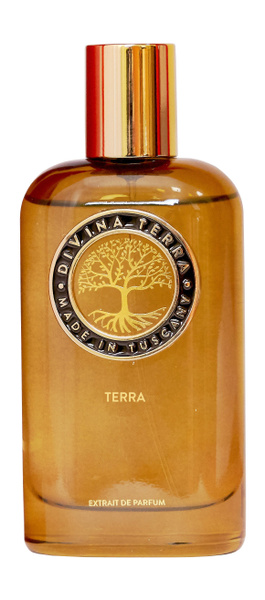 DIVINA TERRA Terra Духи 100 мл (313541076)