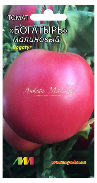 Сорт богатырь фото и описание