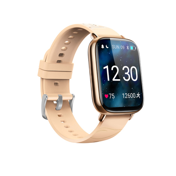 Купить смарт-часы Leef Planex в металлическом хромированном корпусе ...