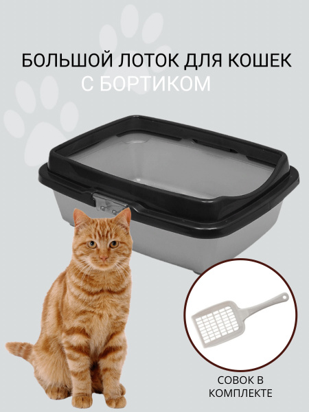 Туалет для кошек большой с бортом DD Style, кошачий туалет, лоток для ...