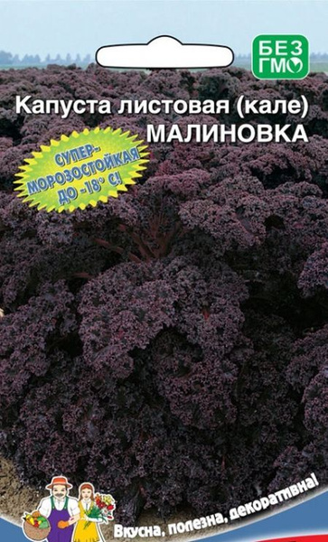 Капуста Уральский дачник Тор50365.1 - купить по выгодным ценам в ...