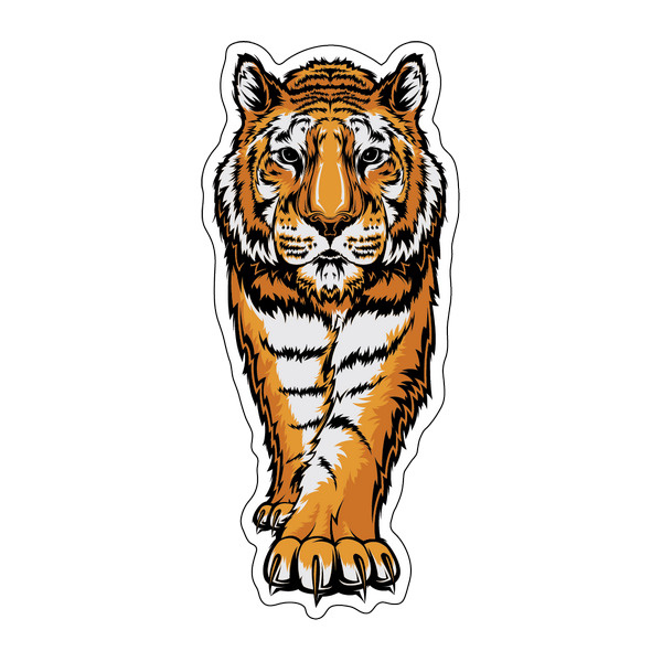 Купить тигра 7. Наклейки на авто тигр. Тигр декоративный рисунок. Тигр наклейка на футболку. Стикеры тигры Карол.