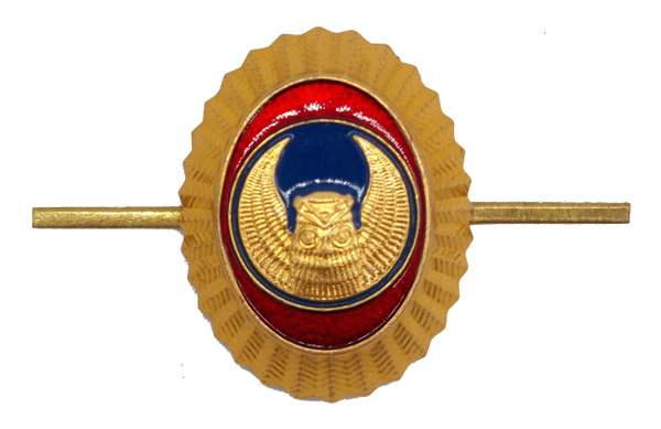 Кокарда орех сова РТ охрана металлическая - купить с доставкой по ...