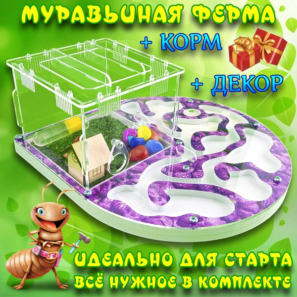 Муравьиная ферма, формикарий - купить с доставкой по выгодным ценам в ...