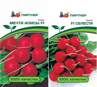 Редис мечта алисы описание сорта фото отзывы