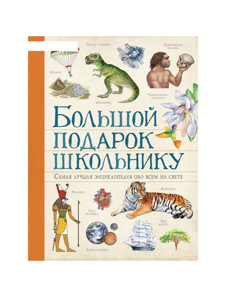 "Большой подарок школьнику" х 1 шт. - купить с доставкой по выгодным ...