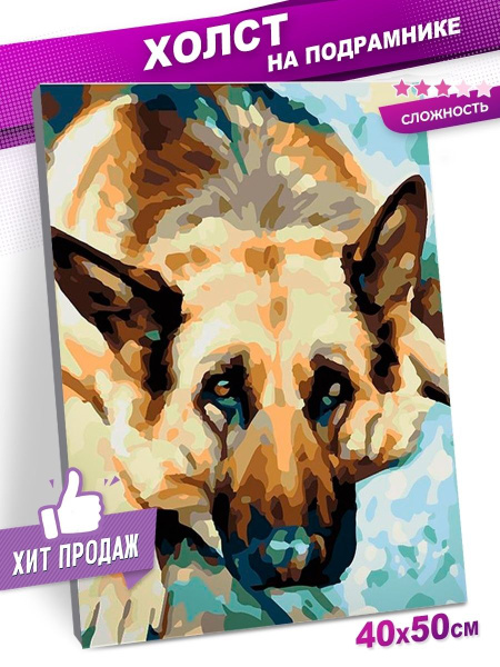 Картина по номерам FEHU на холсте с подрамником, Раскраска 40x50 ...